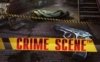Игровой Автомат Crime Scene