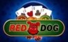 Игровой Автомат Red Dog Progressive